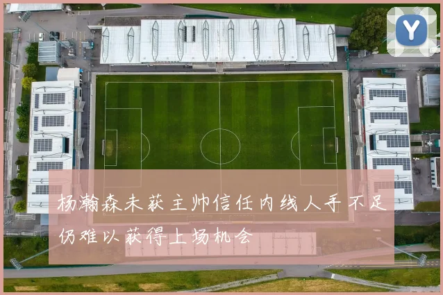 杨瀚森未获主帅信任内线人手不足仍难以获得上场机会