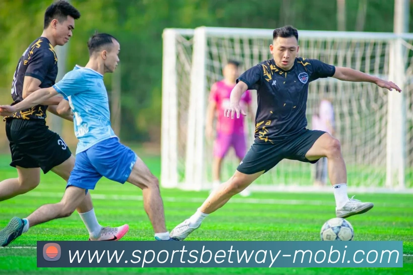 必威体育APP 封面图